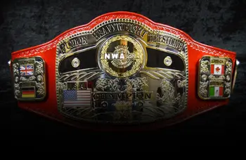 championship-belts-288171-1720074398